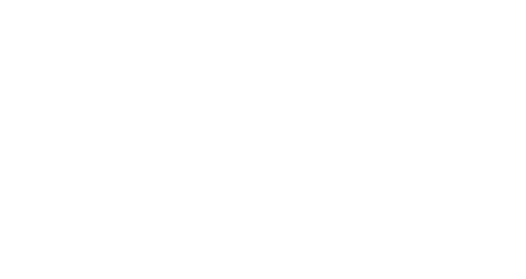 Fleet Seven Digital